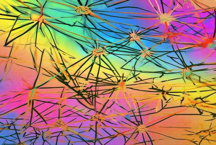 人际关系图谱网站 人际关系图谱网站有哪些