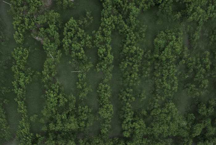 国企人际关系很复杂吗;国企人际关系很复杂吗为什么 国企人际关系很复杂吗;国企人际关系很复杂吗为什么