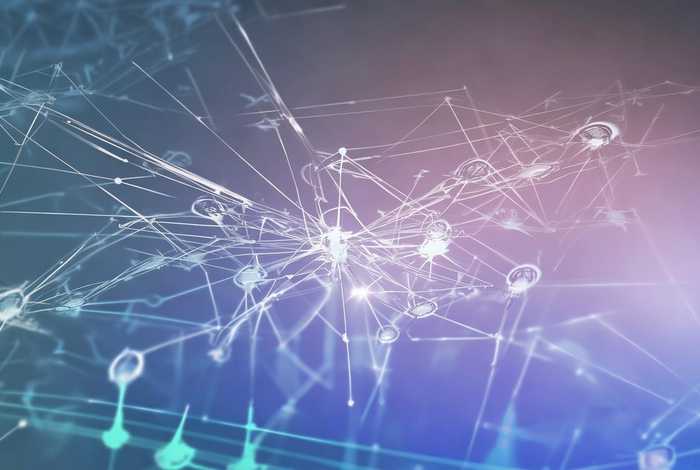 人际关系网查询 - 人际关系网查询网站