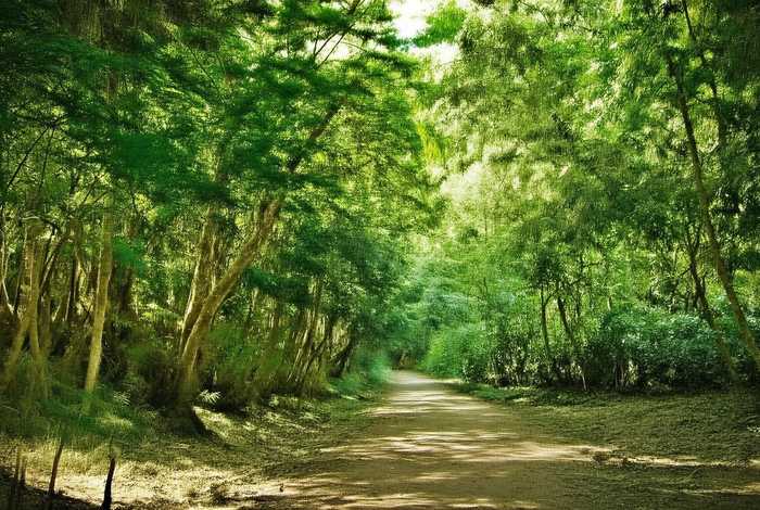 孙悟空的人际关系200字 孙悟空的人际关系200字作文 孙悟空的人际关系200字 孙悟空的人际关系200字作文