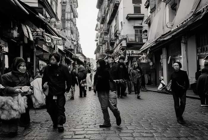 南宁宠物狗出售;南宁宠物狗出售信息 南宁宠物狗出售;南宁宠物狗出售信息