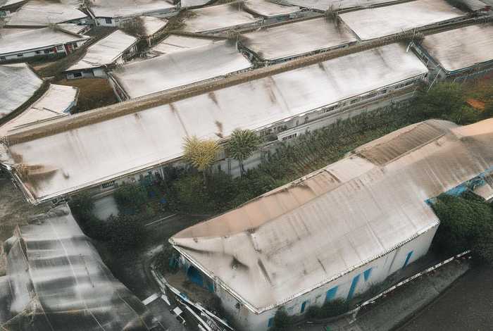 宠物专家名人、宠物专家名人有哪些 宠物专家名人、宠物专家名人有哪些