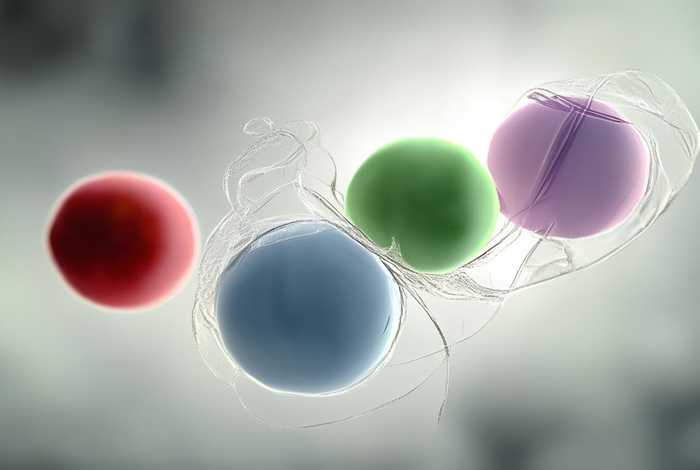 人际关系的三维理论- 人际关系的三维理论--