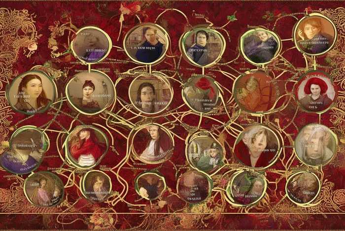 红楼梦人际关系图和相关事件；红楼梦人际关系图示