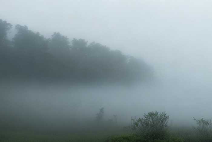 剑网三宠物奇遇枫林客腰牌在哪里;剑网三宠物奇遇枫林客腰牌在哪里获得 剑网三宠物奇遇枫林客腰牌在哪里;剑网三宠物奇遇枫林客腰牌在哪里获得