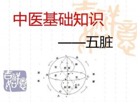 中医最基本的常识 中医基础知识有哪些