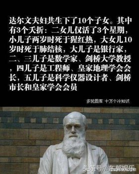 世界著名冷知识 - 史上最有用的冷知识