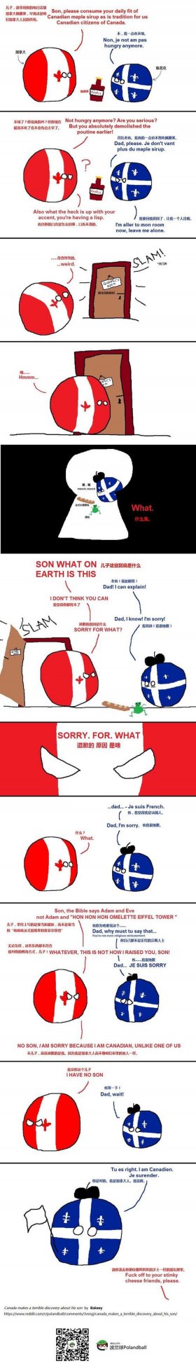 球村冷知识 波兰球3D立体版