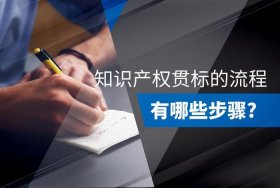 知识产权被起诉怎么解决 知识产权贯标