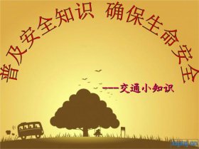 安全常识小知识内容ppt，安全知识普及小常识