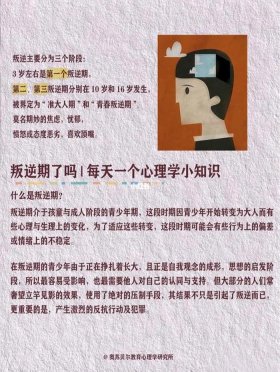 每天学个小知识；每天必学的小知识
