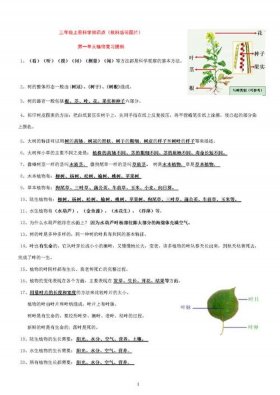 有关科学方面的知识有哪些 科学知识解决生活问题