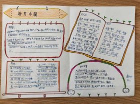 每日知识报 扫好地知识小报