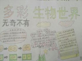 有趣简短的科普；有趣的生物科普小知识