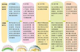 婴幼儿教育知识大全，婴儿辅食大全