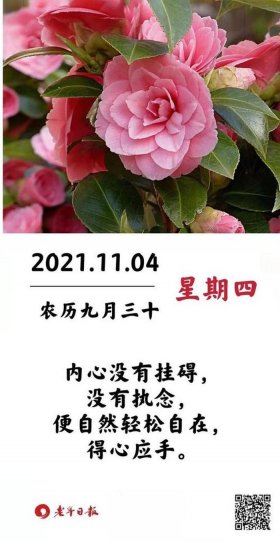 养生知识大全集100条早安 养生之道经典100条很实用