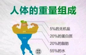 人体冷知识图片，你绝对不知道的冷知识