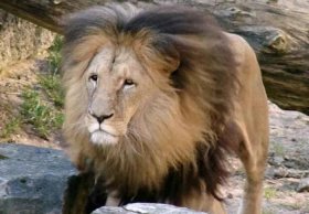 中国世界之最大全常识 十大中国世界之最数据