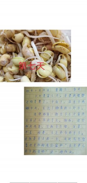 我们在生活中观察的小发现、三年级在生活中观察了什么