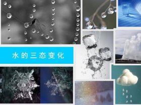 生活中常见的科学知识现象，日常生活中常见的科学现象