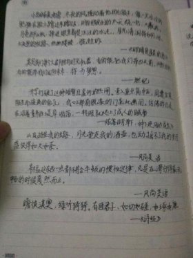 关于知识产权的优美句子简短 - 简短美句