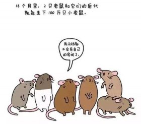 奇葩冷知识常用音效，奇葩冷知识科普