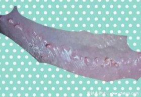 生活中的基本形 生活中有什么是圆顶形