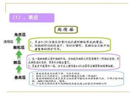 全部知识学的基础；学美容要背的基本知识