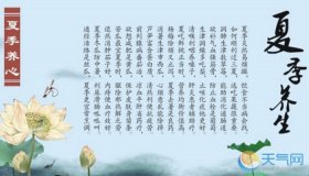 日常生活中的养生行为 - 日常养生的注意事项