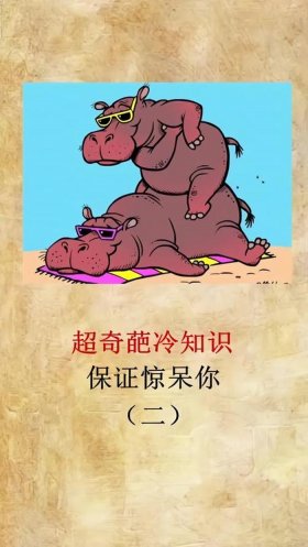 一些很实用的冷知识 500个有趣的冷门知识