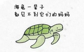 万万没想到100个冷知识模板、冷知识合集