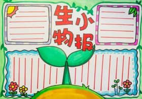 生物100个冷知识手抄报；手抄报生物