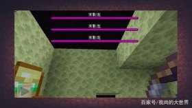 我的世界冷知识大全阿阳，我的世界奇葩冷知识