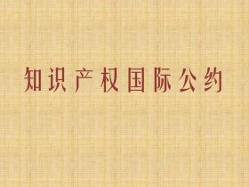 最新知识产权法，知识产权范围是什么