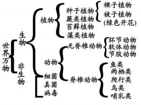 分享有趣的生物小知识，有趣的生物小知识