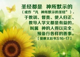 关于知识的金句圣经；聪明与愚笨的区别