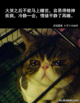 一个冷知识睡不着；有哪些冷知识让人震惊