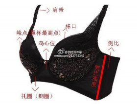 内衣日常知识大全，内衣分类