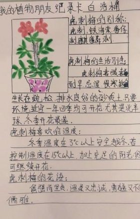 植物科普小知识自带喜感的植物 有趣的植物科普小知识