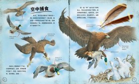 小学生动物百科知识故事，动物童话100篇