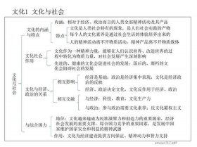 知识一词的意思、知识与文化的关系
