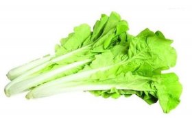 小白菜有哪些科学小知识，蔬菜小知识的资料