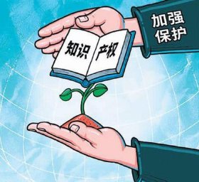 知识产权带什么法条，知识产权的善意侵权法条