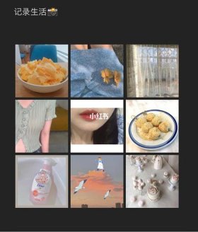 分享生活小日常、分享日常包括什么