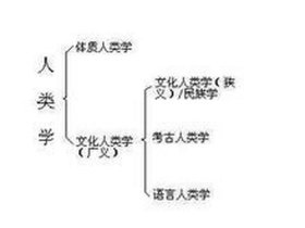 人类知识结构体系 - 个人知识结构有哪些