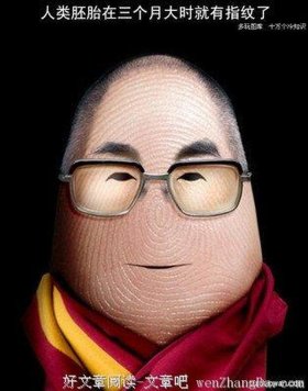 冷知识动画小人哪里找 十万个冷知识