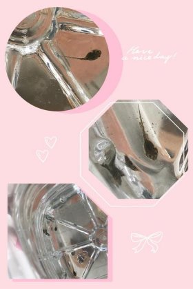 生活中的观察小发现；生活中的观察发现