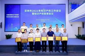深圳十大知识产权公司名单 全国知识产权保护中心名单