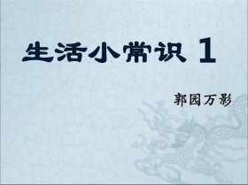 生活知识分享ppt - 日常生活ppt内容