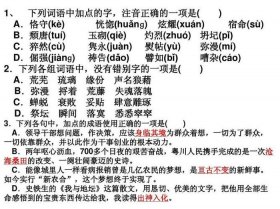 基础知识大全在线阅读、什么叫基础知识